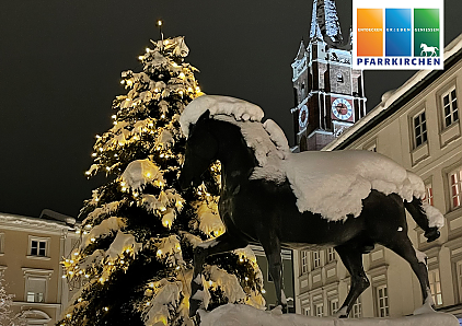 Christbaum für den Stadtplatz gesucht