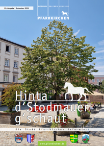 „Hinta d’Stodmauer g’schaut″ Nummer 11